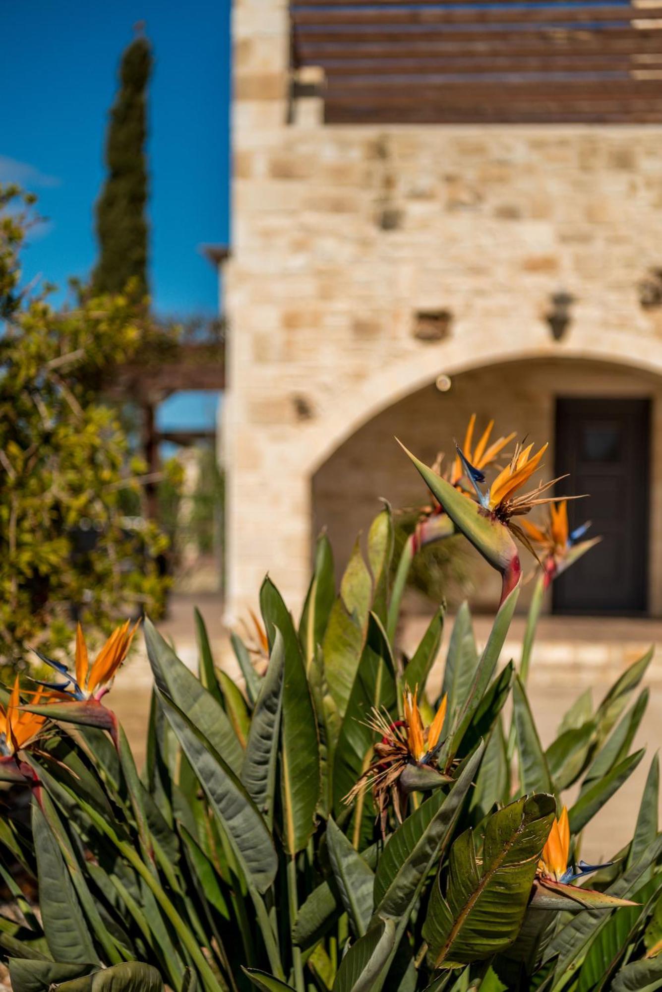 Villa Gloria Seaview - Luxury & Family Kokkino Chorio Екстериор снимка